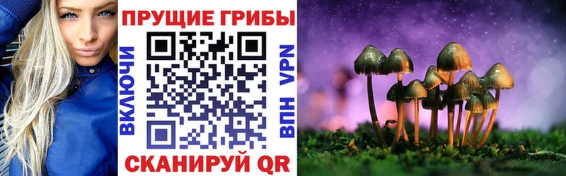 Псилоцибиновые грибы Psilocybe  mega онион  Собинка 